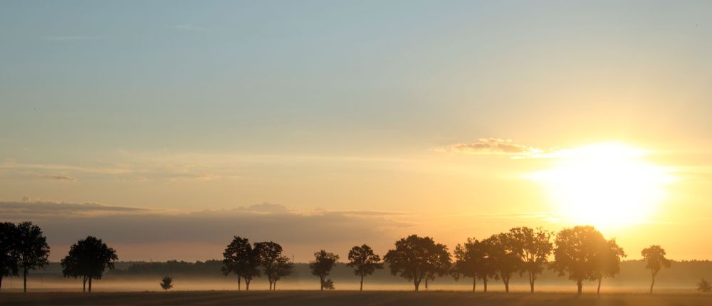 Sonnenaufgang mit Bodennebel