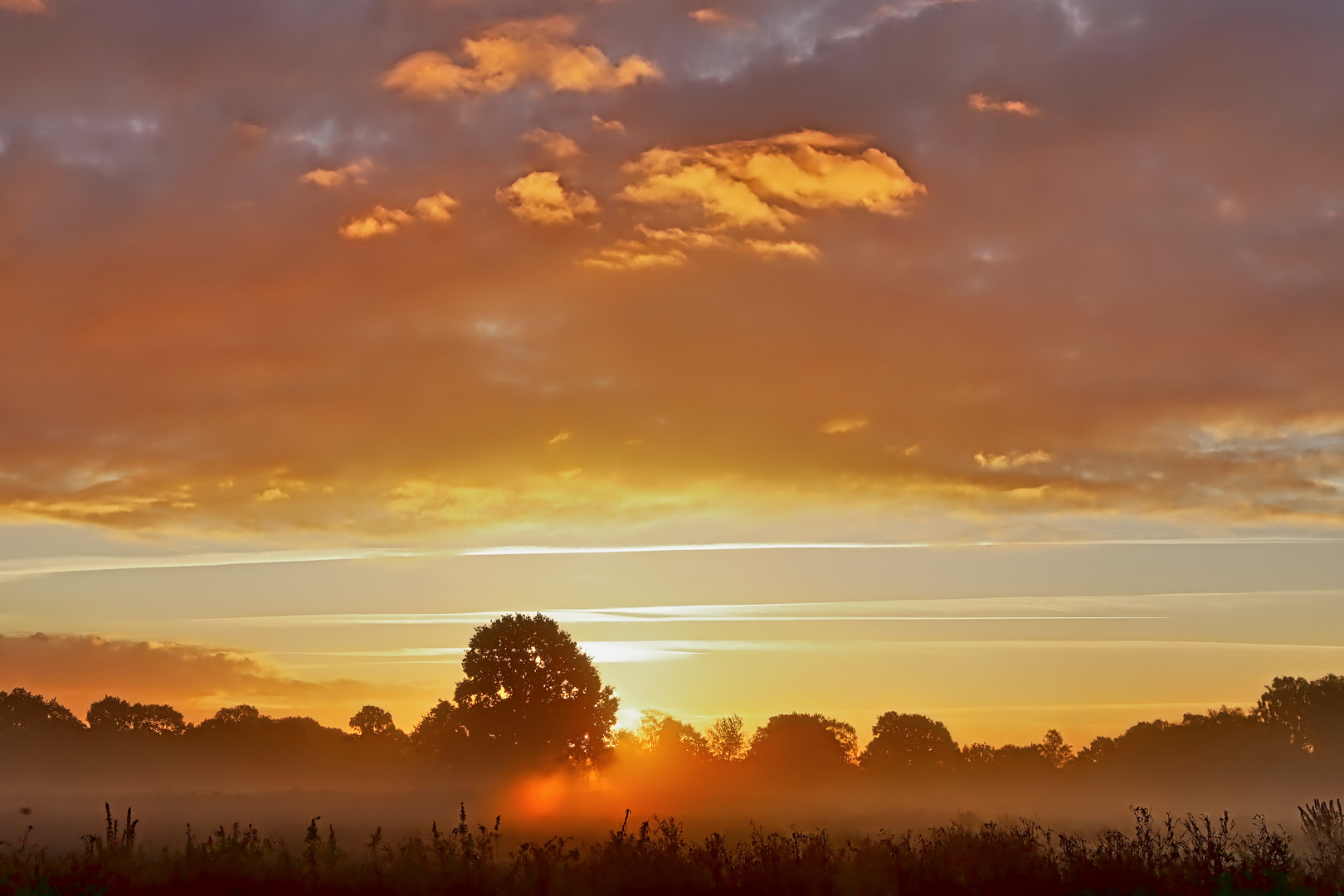 Sonnenaufgang mit Bodennebel