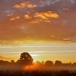 Sonnenaufgang mit Bodennebel