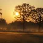 Sonnenaufgang mit Bodennebel