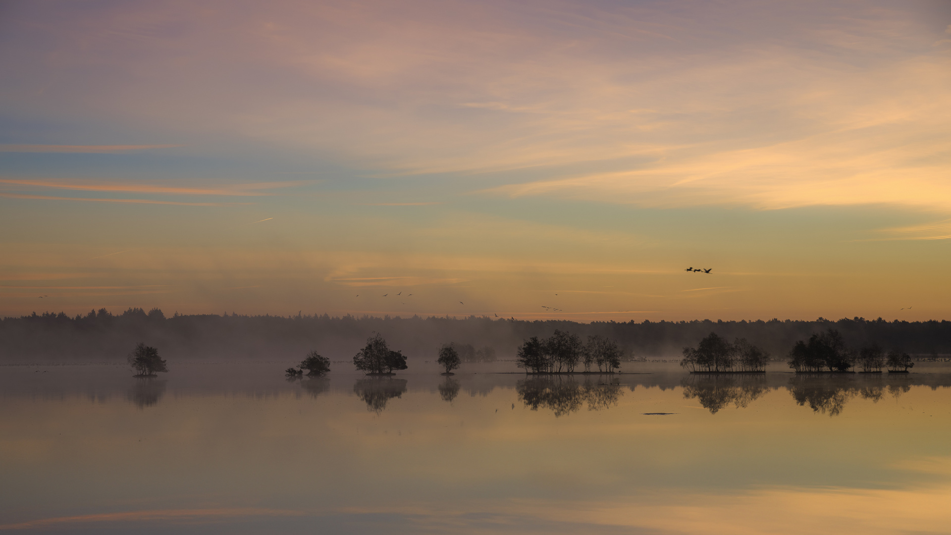 Sonnenaufgang mit Bodennebel