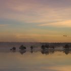 Sonnenaufgang mit Bodennebel