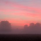 Sonnenaufgang mit Bodennebel...