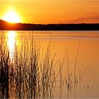 Sonnenaufgang mit dünner Eisschicht