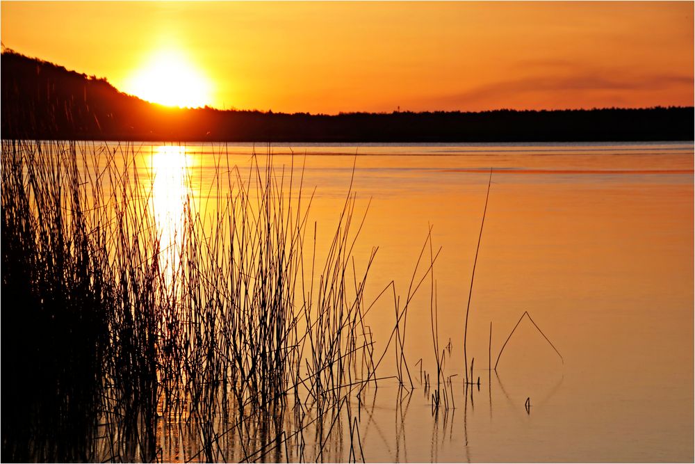 Sonnenaufgang mit dünner Eisschicht