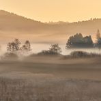 Sonnenaufgang mit Frühlingsnebel heute Morgen 28.03.2022 um 7 Uhr 30, schweinekalt, aber..