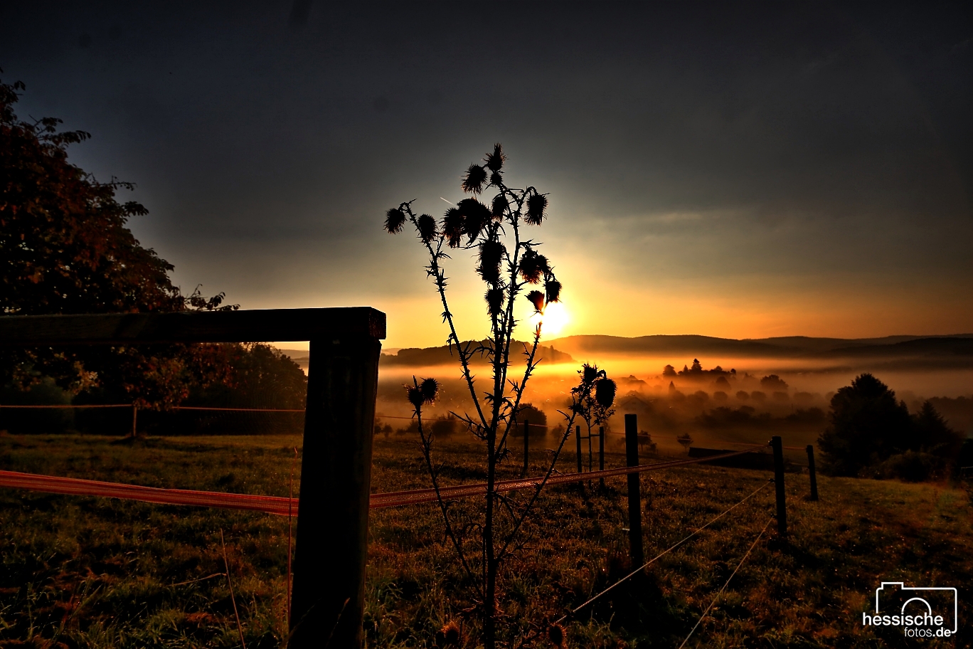 Sonnenaufgang mit Frühnebel