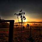 Sonnenaufgang mit Frühnebel