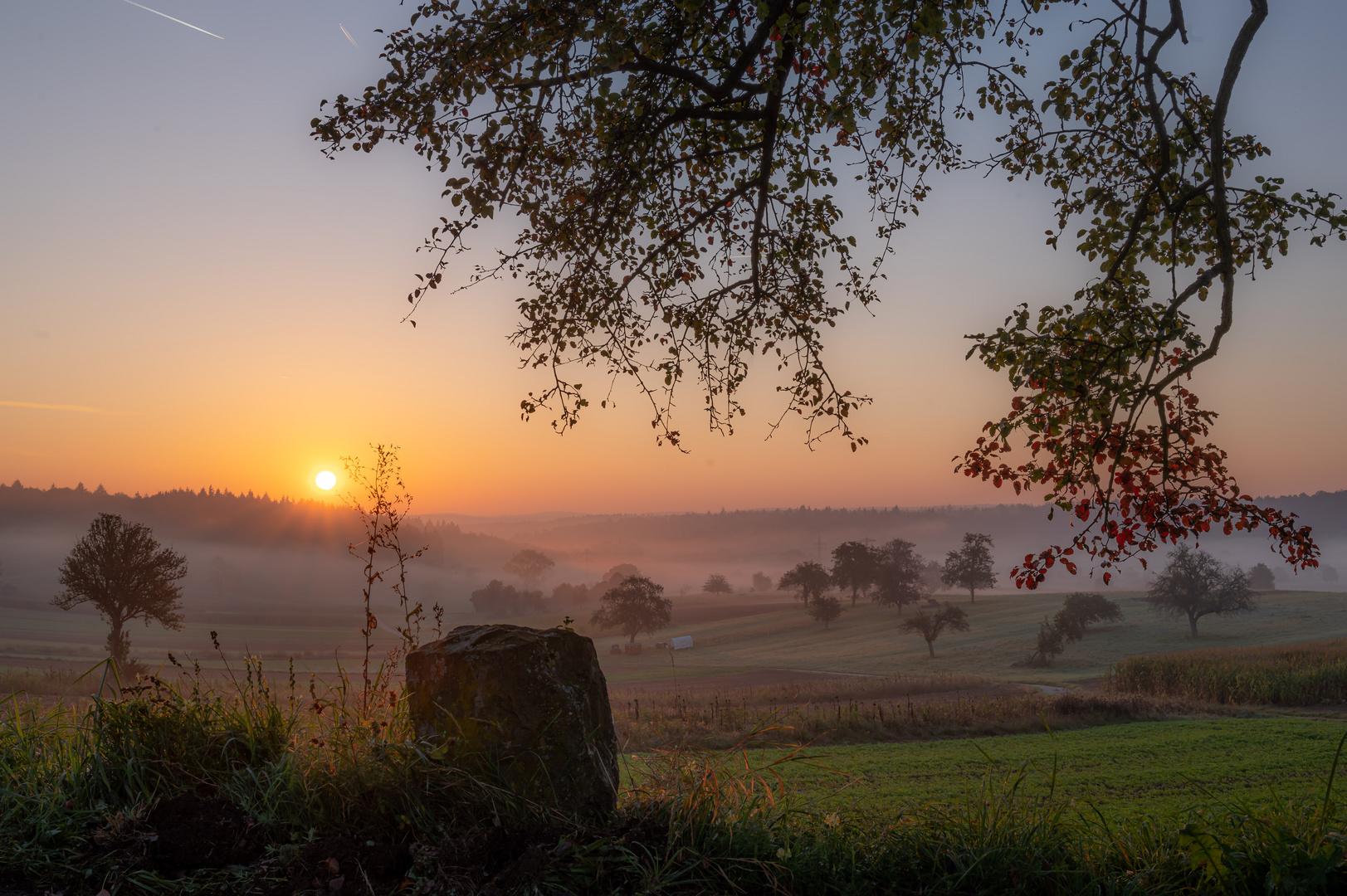 Sonnenaufgang mit Frühnebel