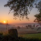 Sonnenaufgang mit Frühnebel