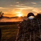 Sonnenaufgang mit Frühnebel