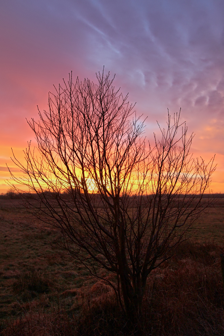 Sonnenaufgang mit Himmelszeichen