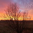 Sonnenaufgang mit Himmelszeichen