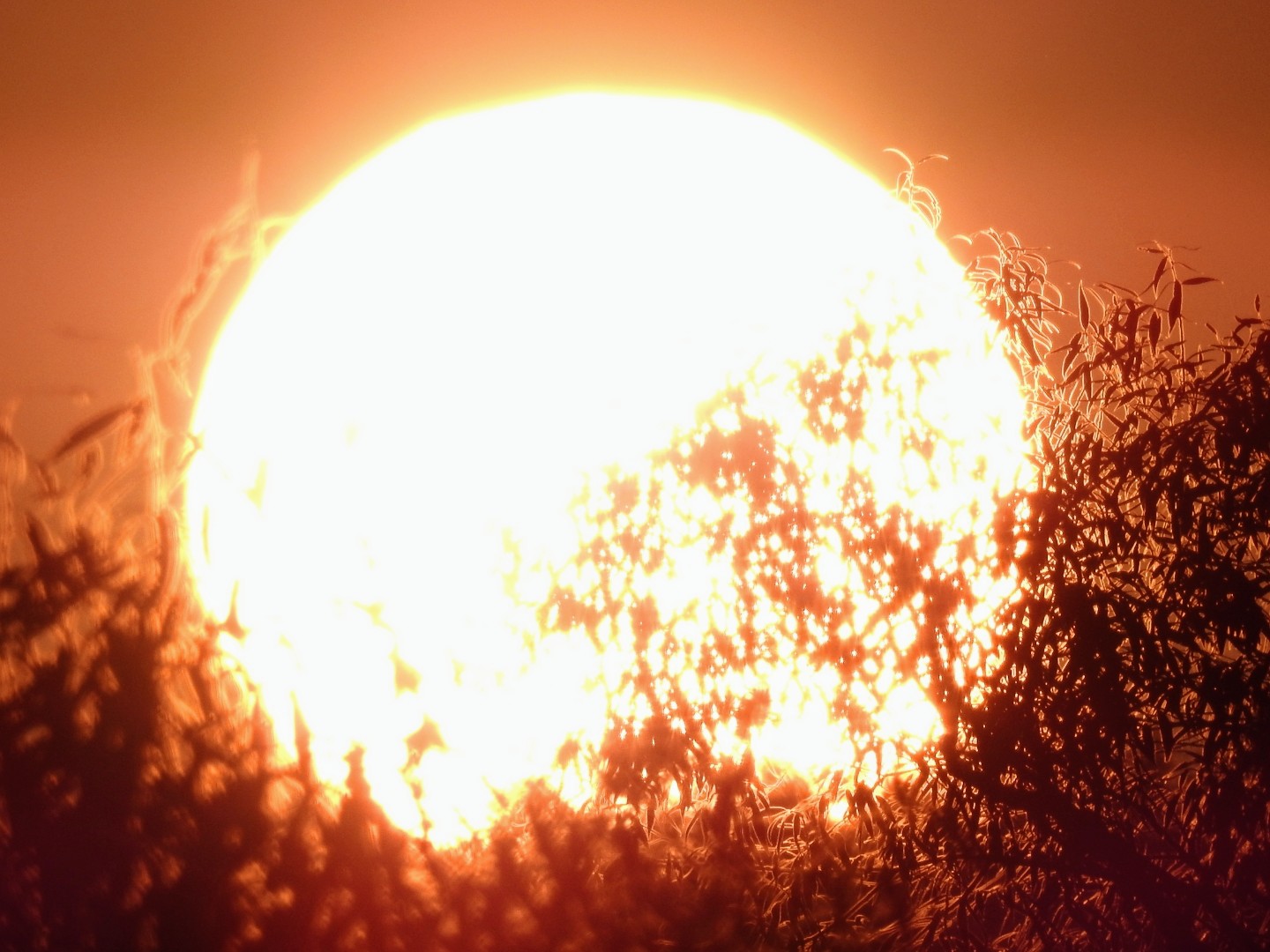 Sonnenaufgang mit Hindernissen 