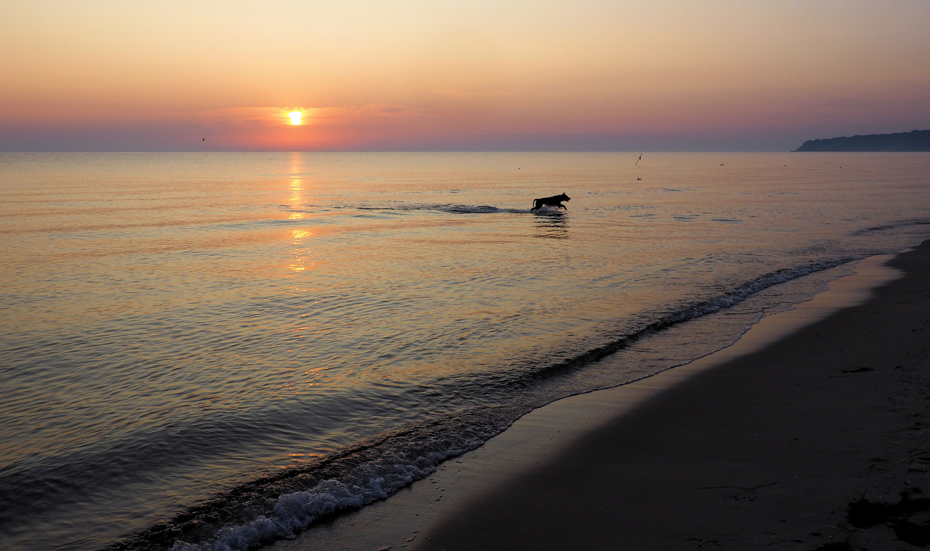 Sonnenaufgang mit Hund ...