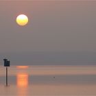 Sonnenaufgang mit Kormoran...