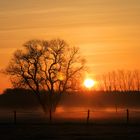 Sonnenaufgang mit leichtem Nebel