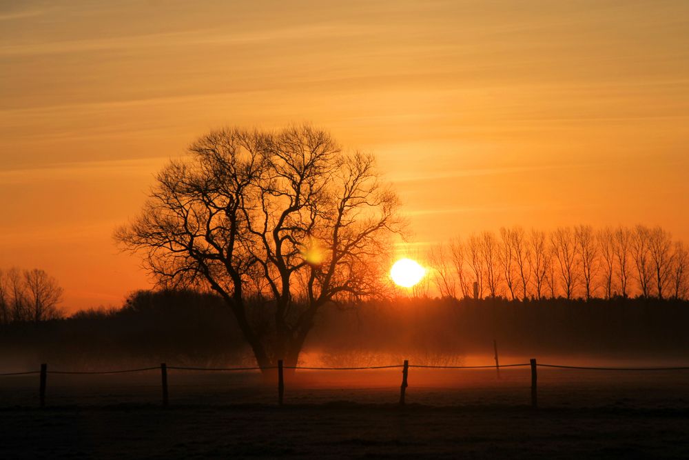 Sonnenaufgang mit leichtem Nebel