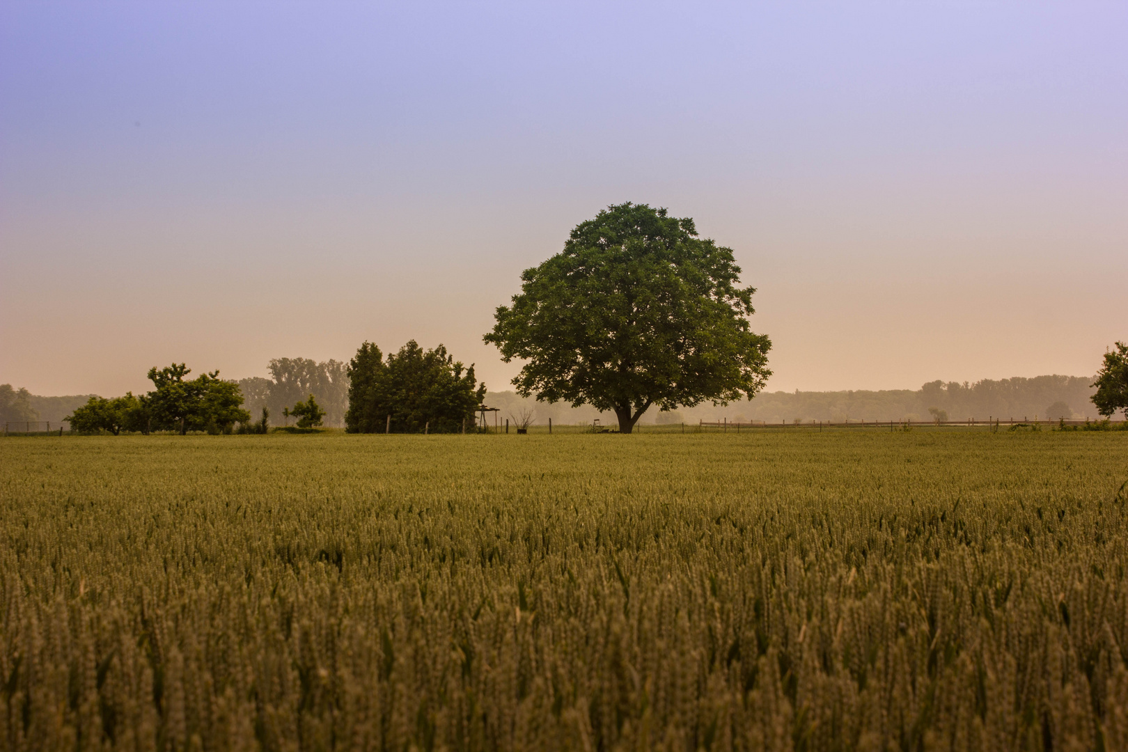 Sonnenaufgang mit leichtem Nebel im Hintergrund