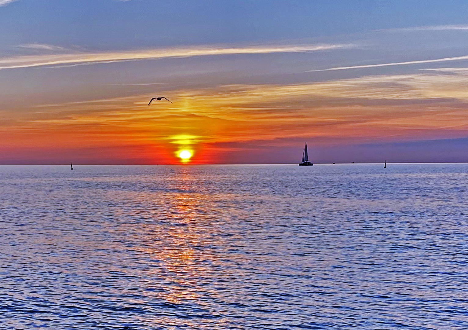 Sonnenaufgang mit Möve und Segelboot...