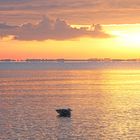 Sonnenaufgang mit Möwe  -  sunrise with seagull