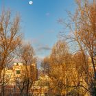 Sonnenaufgang mit Mond am Himmel