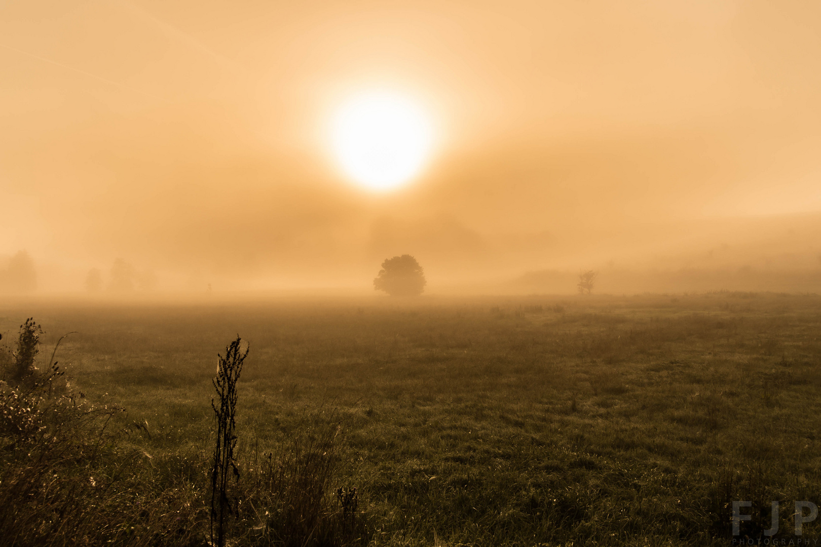 Sonnenaufgang mit Morgennebel