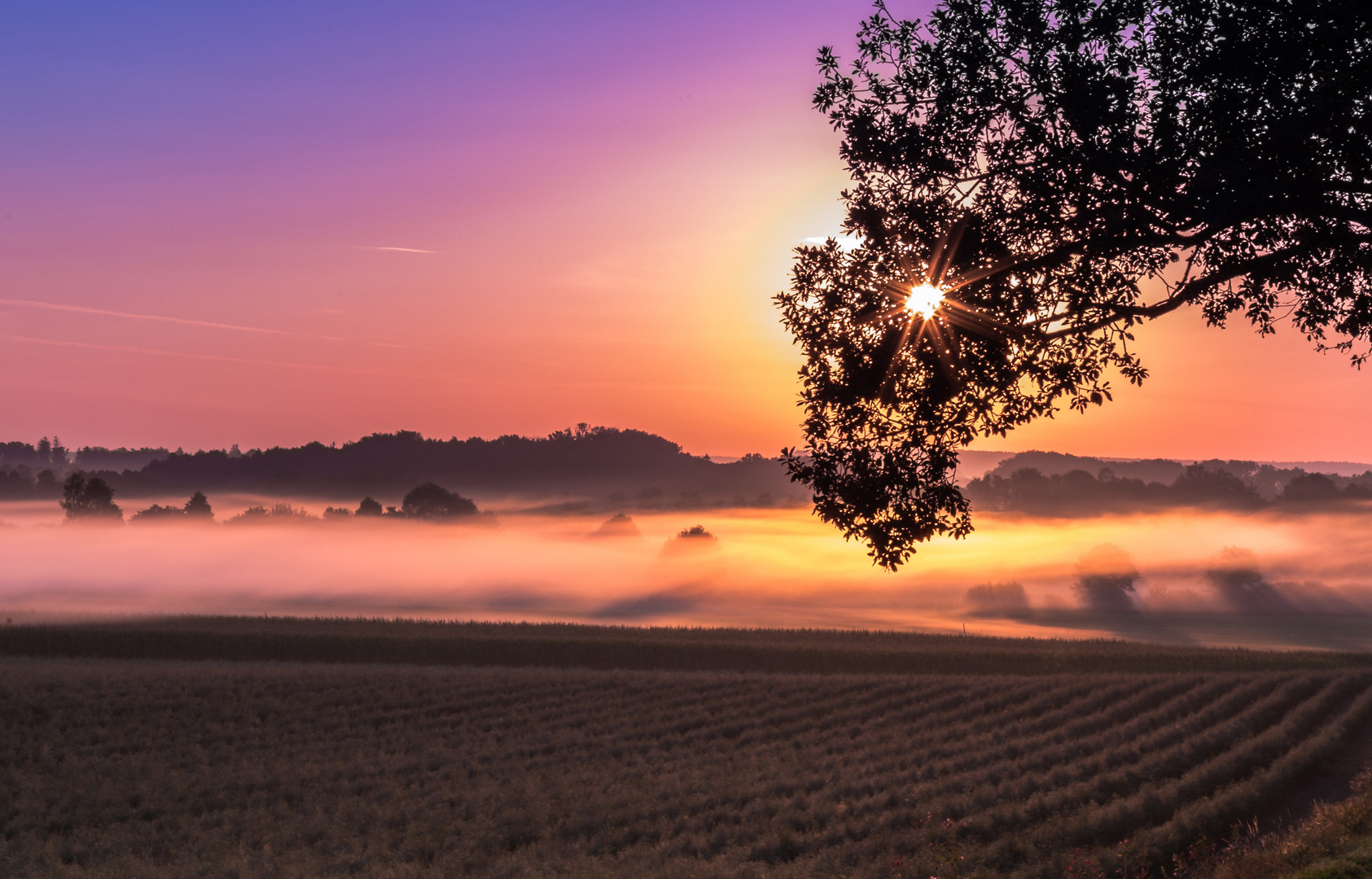 Sonnenaufgang mit Morgennebel