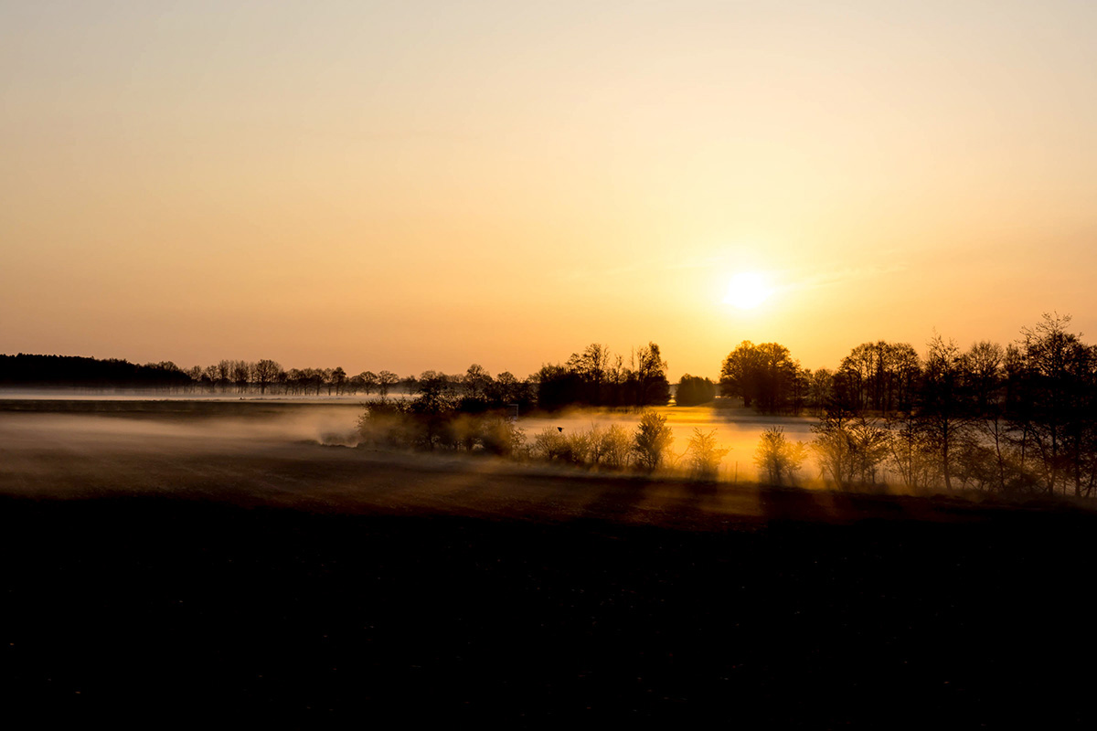 Sonnenaufgang mit Morgennebel