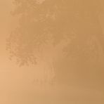 Sonnenaufgang mit Nebel 01