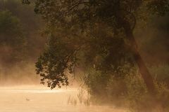 Sonnenaufgang mit Nebel 02