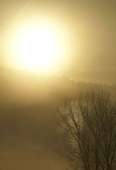 Sonnenaufgang mit Nebel "1"