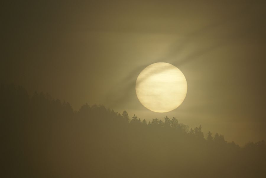 Sonnenaufgang mit Nebel "2"