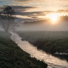 Sonnenaufgang mit Nebel 