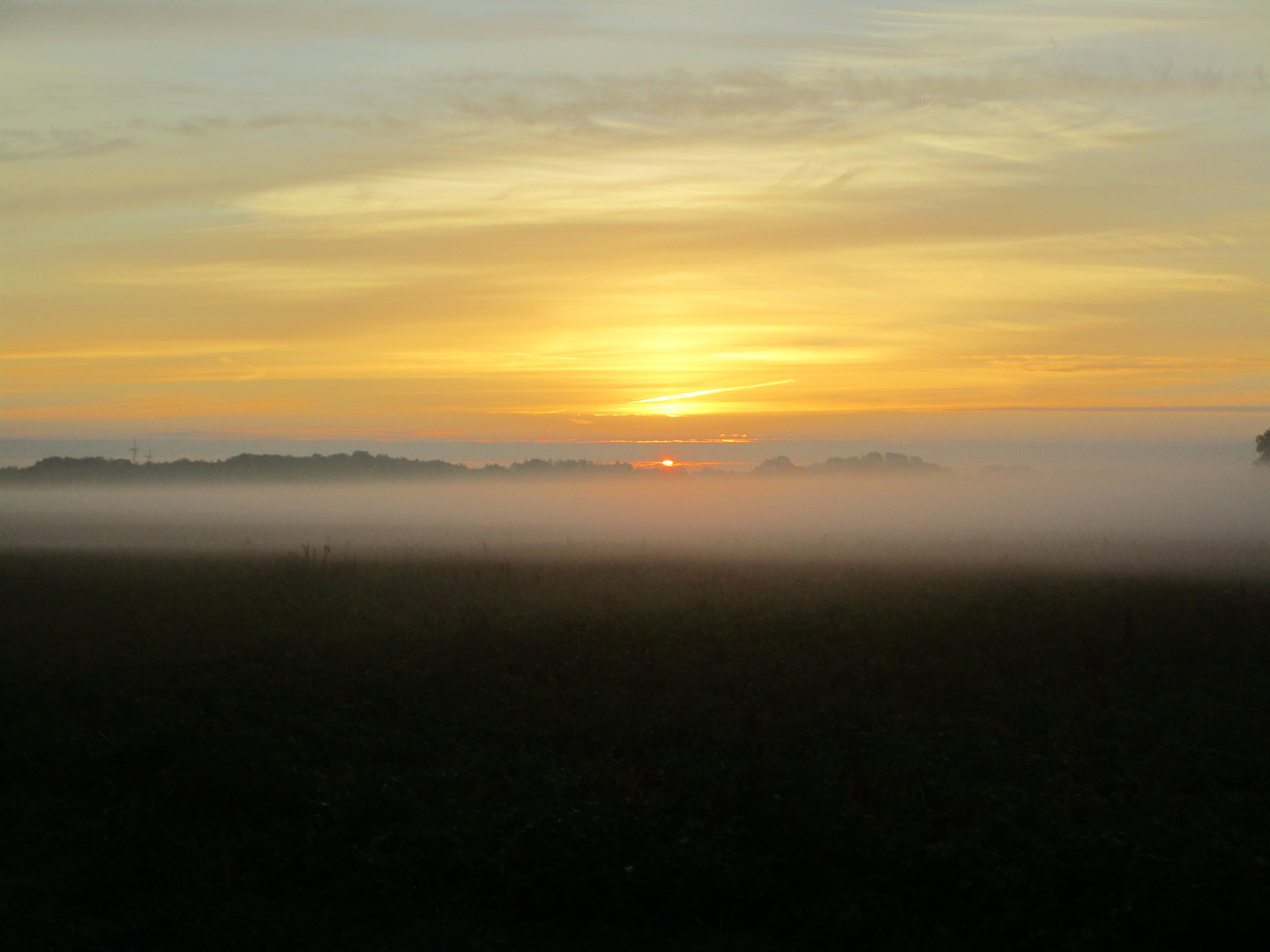 Sonnenaufgang mit Nebel