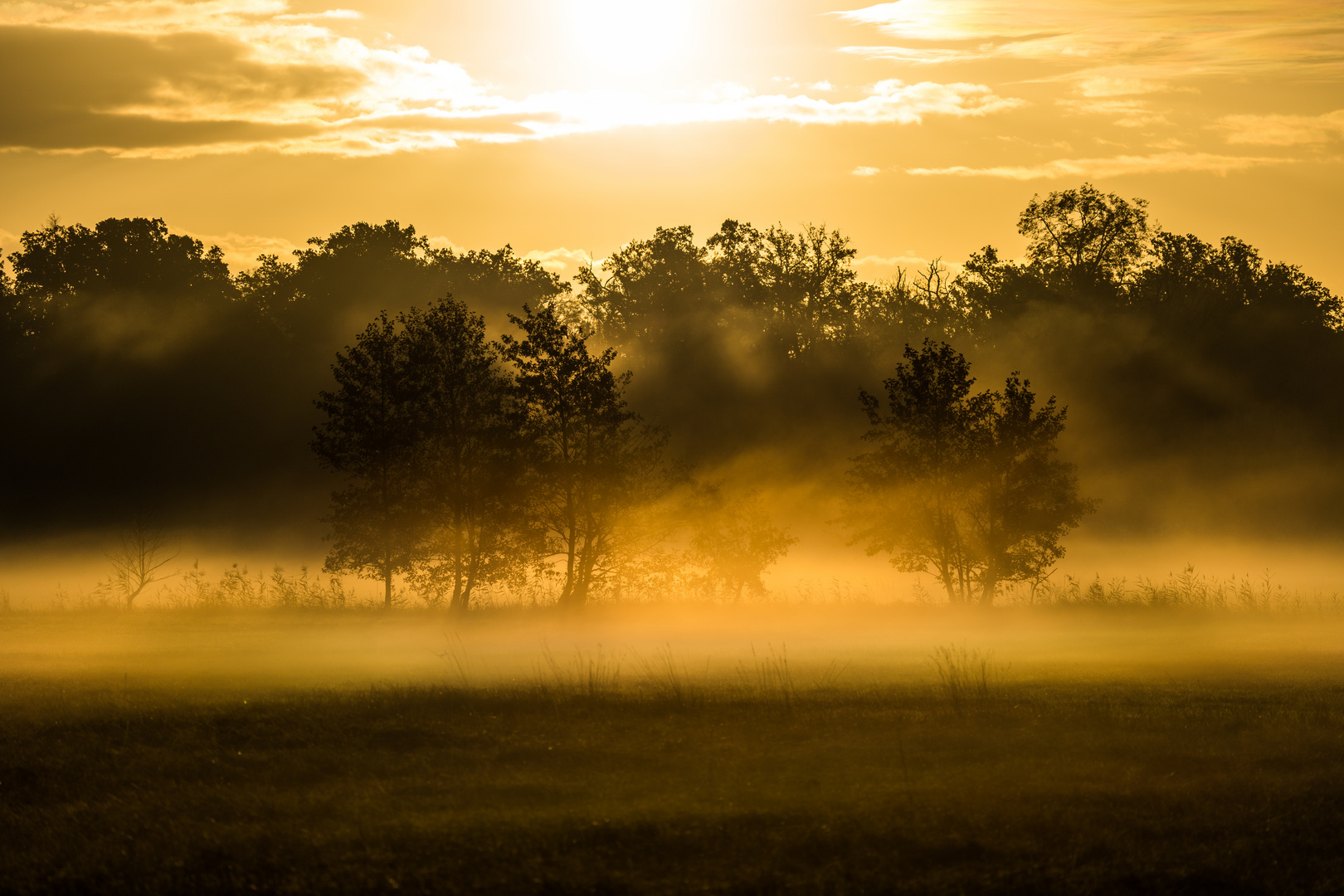 Sonnenaufgang mit Nebel 