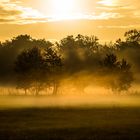 Sonnenaufgang mit Nebel 