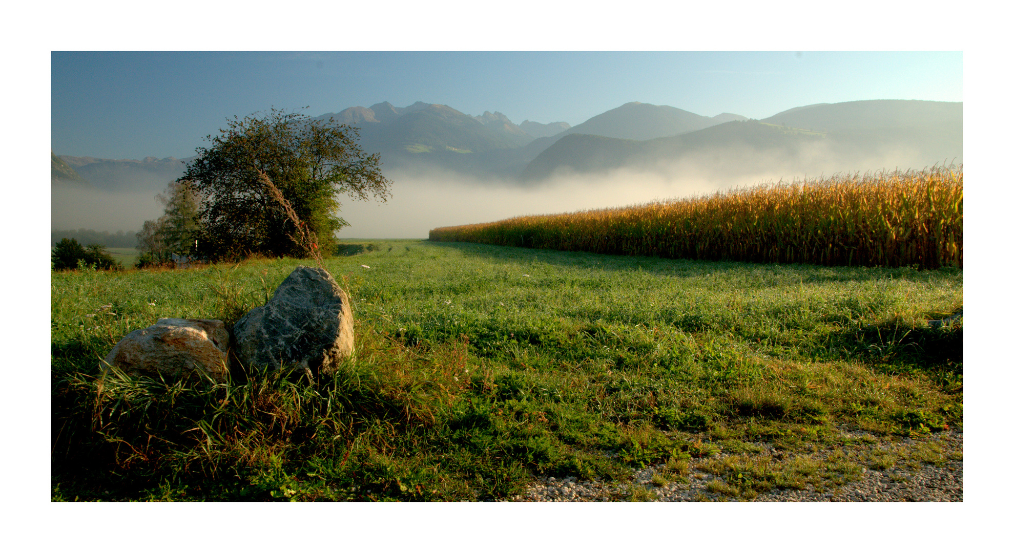 Sonnenaufgang mit Nebel