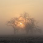 Sonnenaufgang mit Nebel