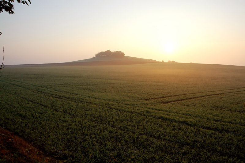 Sonnenaufgang mit Nebel