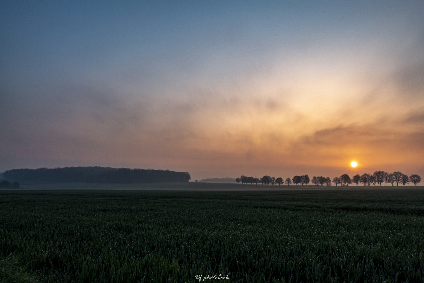 Sonnenaufgang mit Nebel