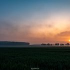 Sonnenaufgang mit Nebel