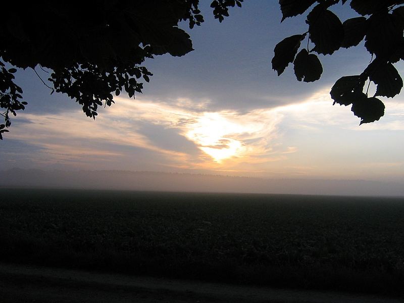 Sonnenaufgang mit Nebel