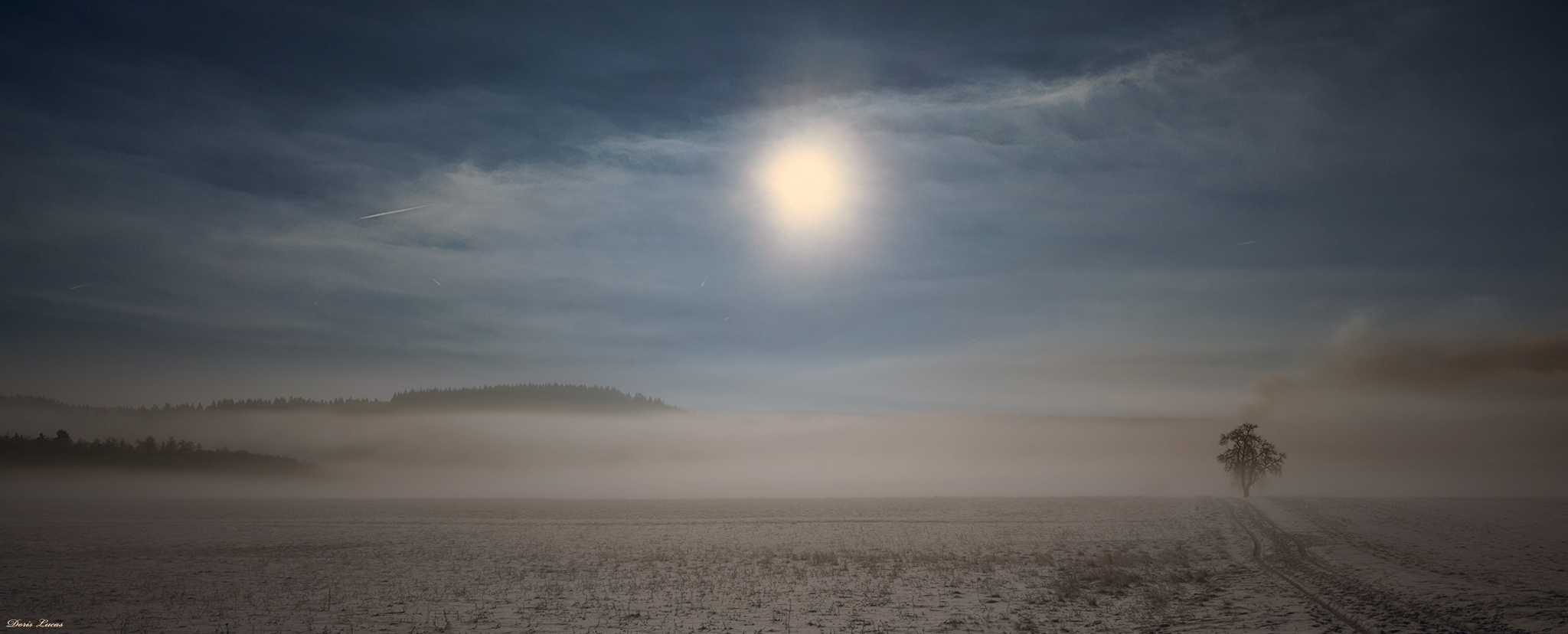 Sonnenaufgang mit Nebel