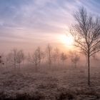 Sonnenaufgang mit Nebel