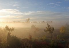 Sonnenaufgang mit Nebel