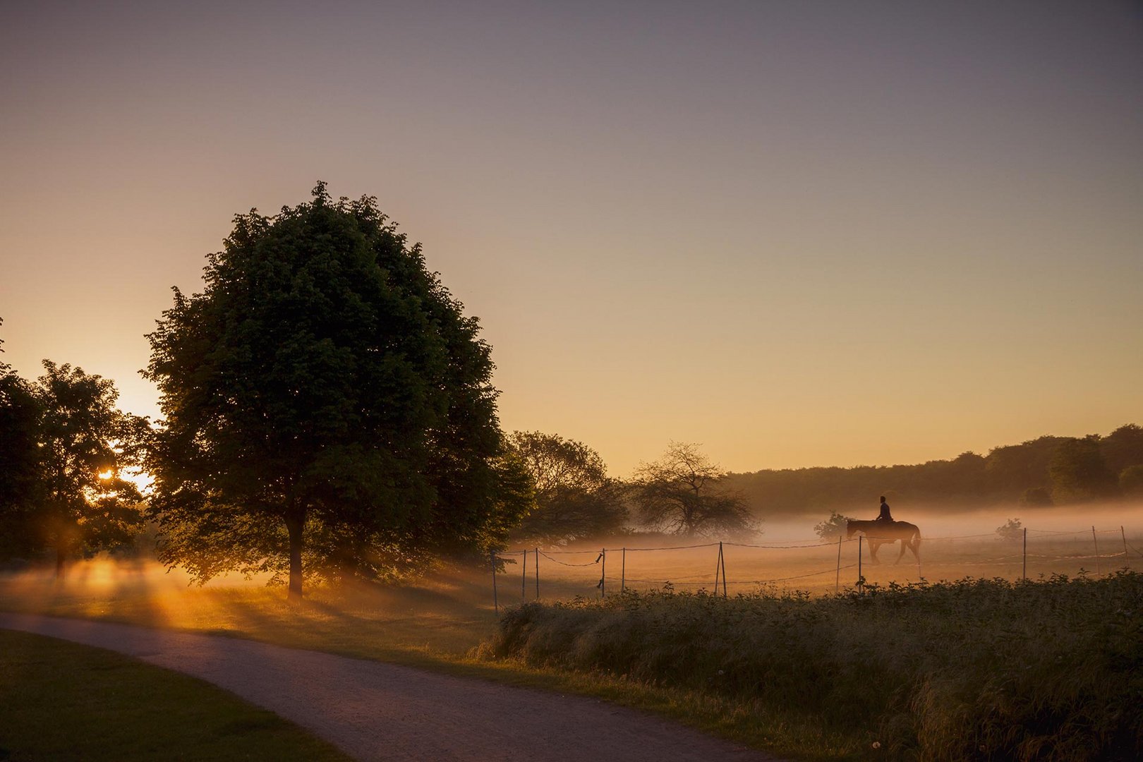 Sonnenaufgang mit Nebel