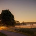 Sonnenaufgang mit Nebel