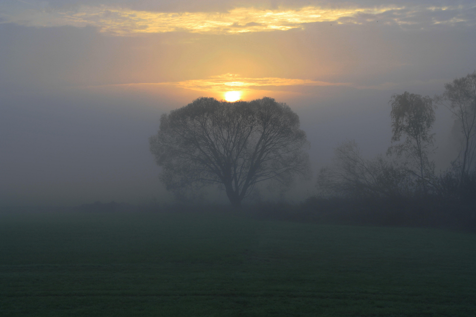 Sonnenaufgang mit Nebel