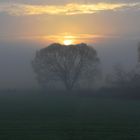 Sonnenaufgang mit Nebel